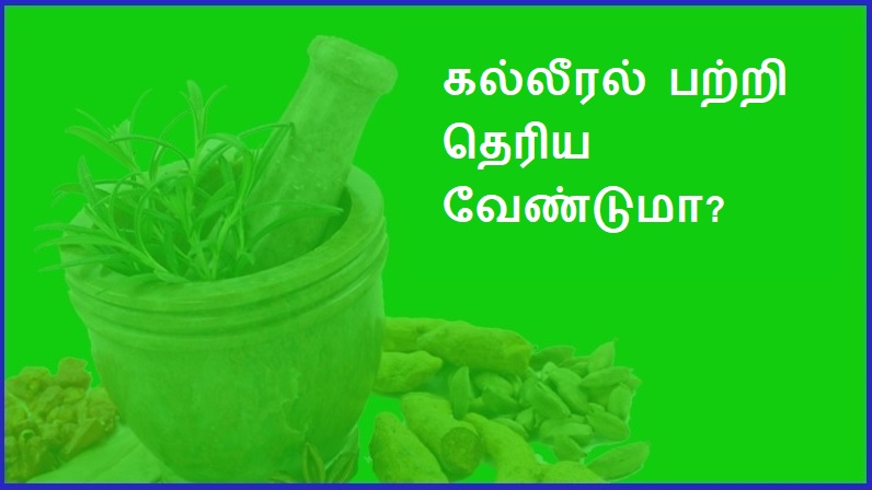 கல்லீரல் பற்றித் தெரிய வேண்டுமா? | Want to know about the liver?