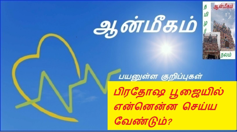 பிரதோஷ பூஜையில் என்னென்ன செய்ய வேண்டும்? | What to do in Pradosha Puja?