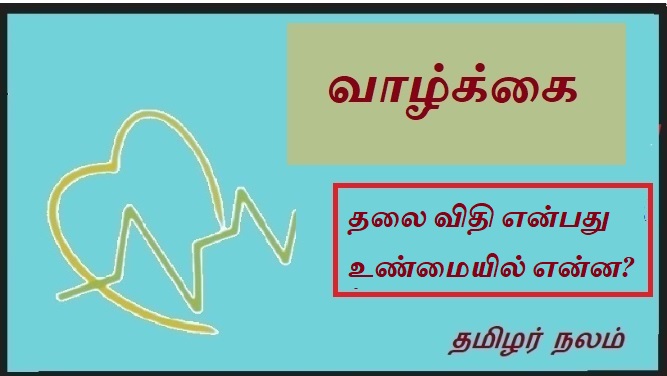 தலை விதி என்பது உண்மையில் என்ன | What is the head rule really