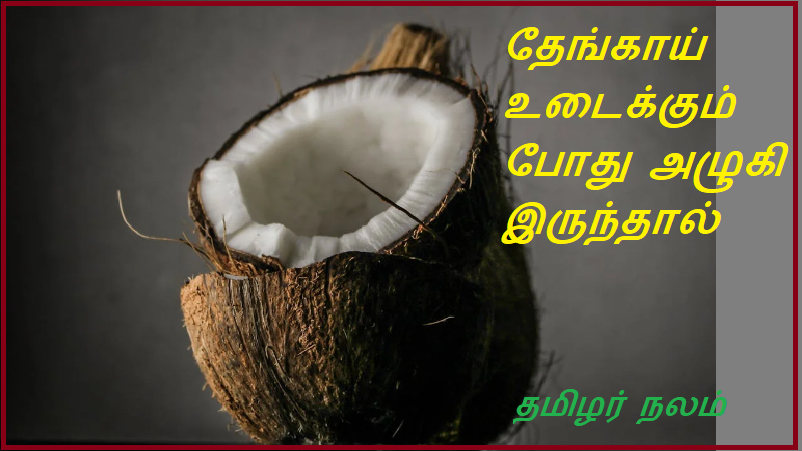 தேங்காய் உடைக்கும் போது | While cracking the coconut