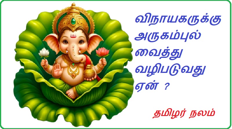 விநாயகருக்கு அருகம்புல் வைத்து வழிபடுவது ஏன் | Why worship Lord Ganesha with Arukumbul