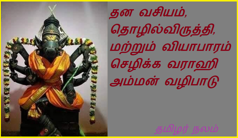 தன வசியம், தொழில்விருத்தி, மற்றும் வியாபாரம் செழிக்க வராஹி அம்மன் வழிபாடு | Worship Goddess Varahi for prosperity, business, and business