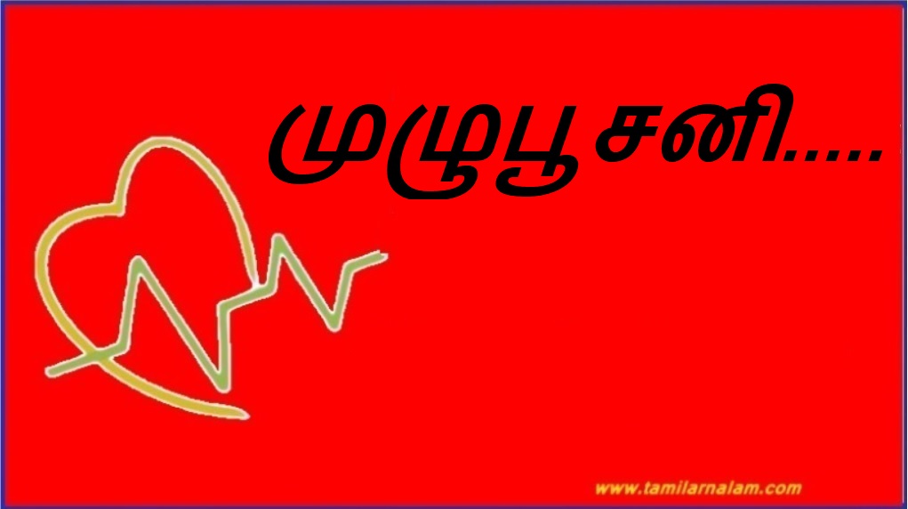 முழுபூசனி..... | full bloom.....