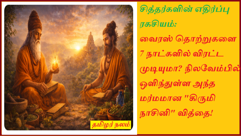 வைரஸ் தொற்றுகளை 7 நாட்களில் விரட்ட முடியுமா? நிலவேம்பில் ஒளிந்துள்ள அந்த மர்மமான 