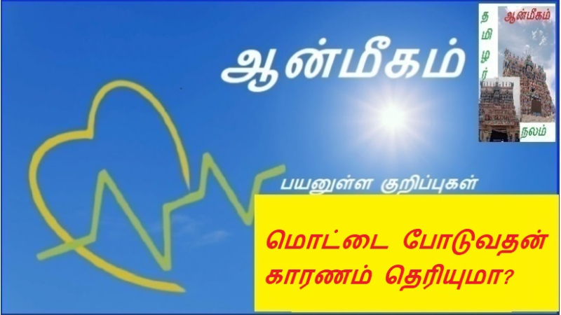 மொட்டை போடுவதன் காரணம் தெரியுமா?