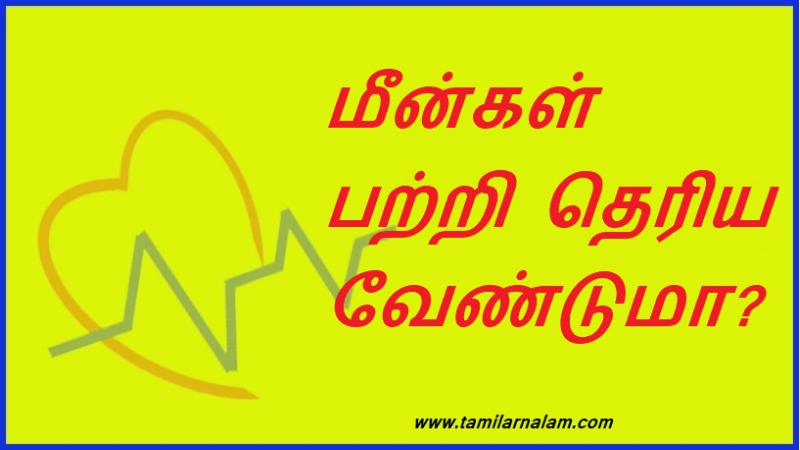 மீன்கள் பற்றி தெரிய வேண்டுமா? | Want to know more about fish?