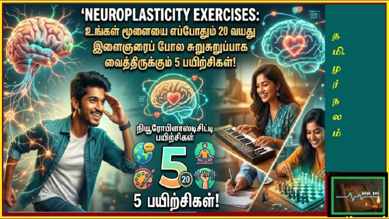 நியூரோபிளாஸ்டிசிட்டி: உங்கள் மூளையை 20 வயது இளைஞரைப் போல மாற்றும் 5 பயிற்சிகள்! - தமிழர் நலம்