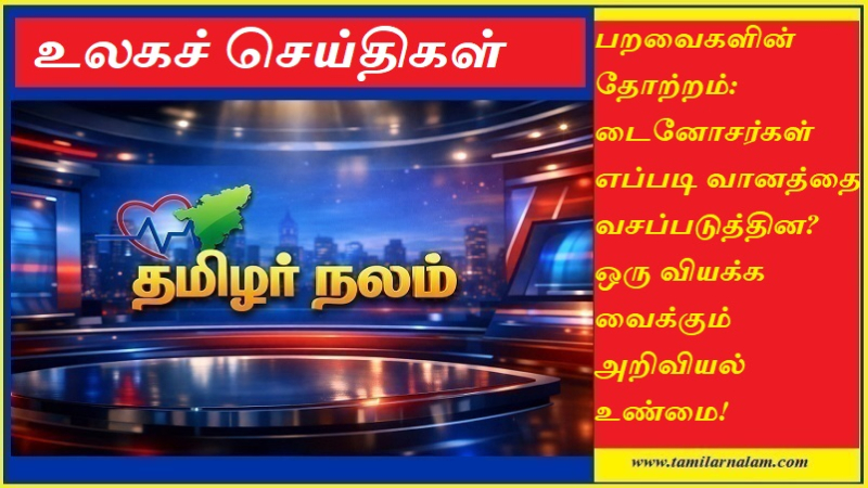 டைனோசர்கள் எப்படி பறவைகளாக மாறின? விங் அசிஸ்டெட் இன்க்லைன் ரன்னிங் (WAIR) ரகசியம் - தமிழர் நலம்