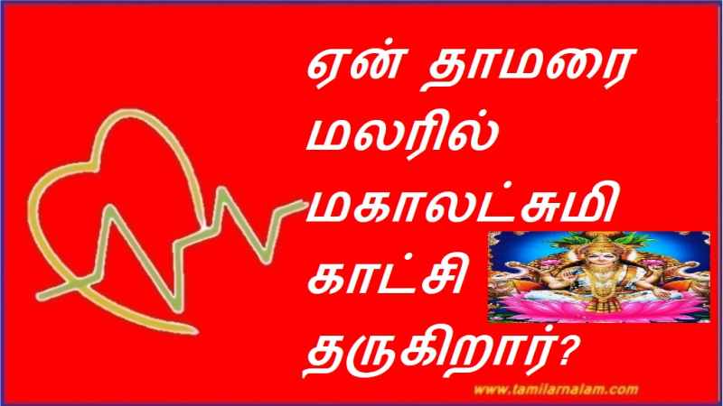 ஏன் தாமரை மலரில் மகாலட்சுமி காட்சி தருகிறார்? | Why does Mahalakshmi appear in a lotus flower?