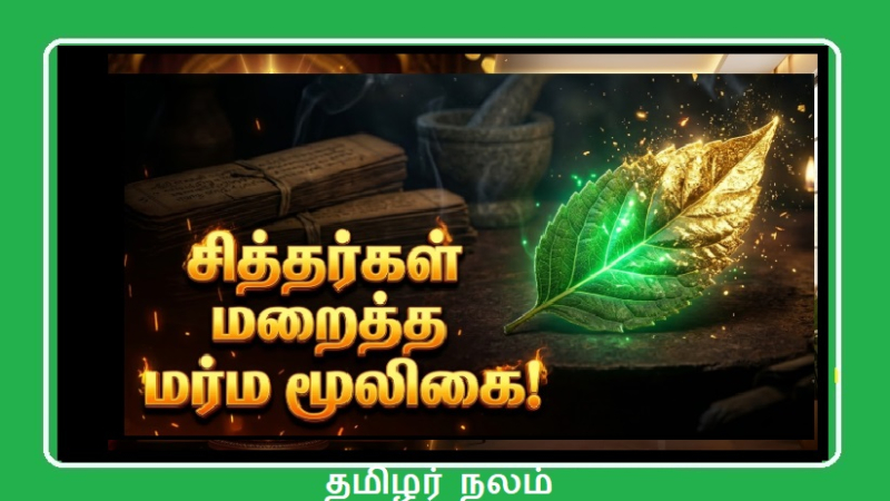சித்தர்கள் மறைத்து வைத்த 'மூலிகை ரகசியம்'! தீராத வியாதிகளை விரட்டும் 108 கால அதிசயம்!