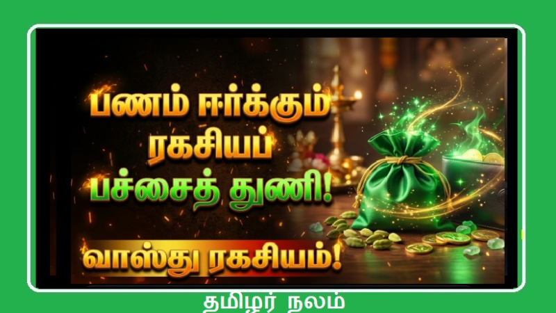 பணத்தை ஈர்க்கும் 'பச்சை நிறத் துணி' ரகசியம்! உங்கள் மணிப்பர்ஸில் இன்று இதை வையுங்கள்!
