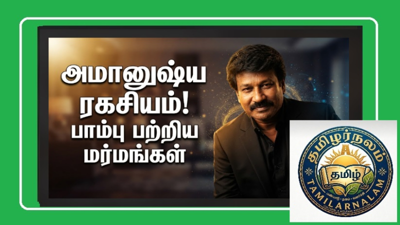 நாகங்களைக் கொல்லக் கூடாததன் அமானுஷ்ய ரகசியம்! குண்டலினி சக்தியும் சித்தர்களும்! | Why You Should Not Kill Snakes? The Spiritual Mystery of Kundalini and Siddhas!