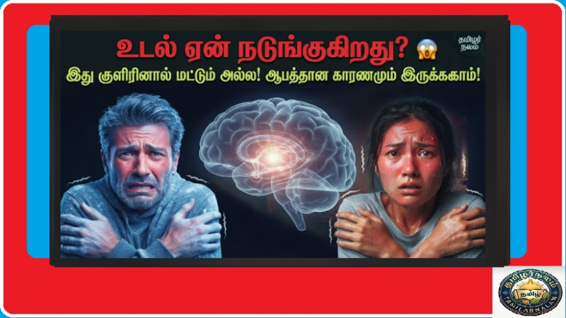 உடல் நடுக்கம் ஏற்படக் காரணங்கள் என்ன? | Why Does the Human Body Shiver Suddenly Tamil | Why Does the Human Body Shiver Suddenly? More Than Just Cold – The Scientific Secrets Revealed