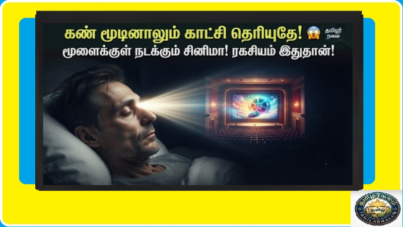கண்கள் மூடினாலும் மூளை கனவு காண்பது எப்படி? | How Brain Creates Dreams in Tamil | How Does the Brain Create Dreams When Eyes are Closed? The Science of Inner Cinema
