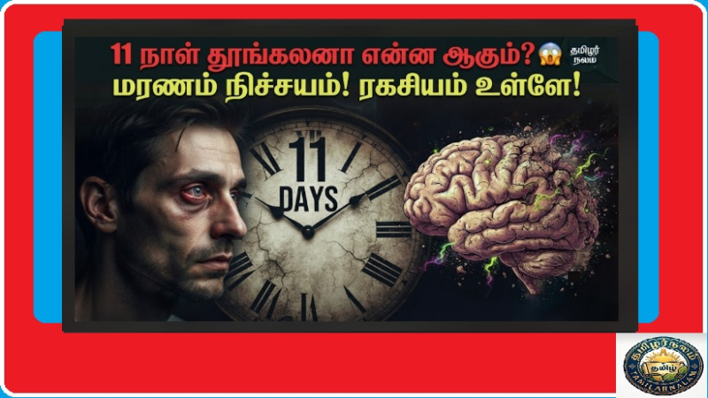 மனிதன் எவ்வளவு நாட்கள் தூங்காமல் இருக்க முடியும்? | How Long Can a Human Go Without Sleep Tamil | How Long Can a Human Stay Awake? Shocking World Records and Medical Truths Revealed