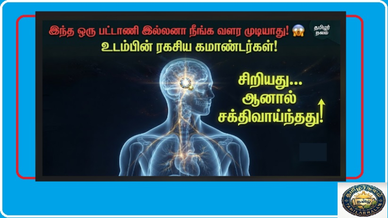 மனித உடலின் சிறிய ஆனால் சக்திவாய்ந்த உறுப்புகள் | Small but Powerful Organs in Human Body Tamil | Tiny but Mighty! 5 Small yet Powerful Organs in the Human Body and Their Hidden Secrets