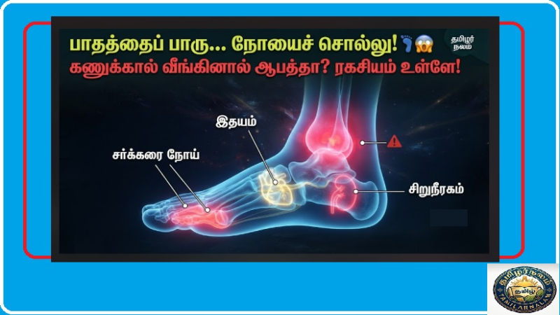 உங்கள் பாதங்கள் சொல்லும் ரகசிய நோய்கள்! | What Your Feet Say About Your Health Tamil