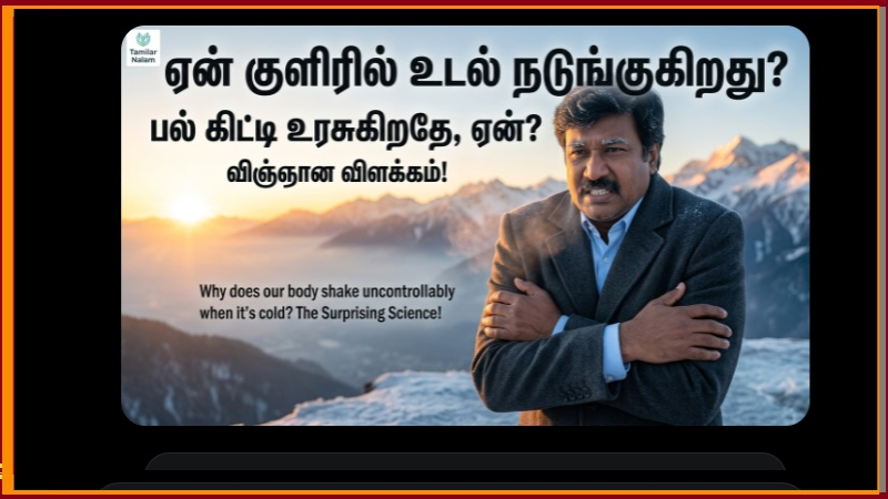 ​ஏன் நமது உடல் குளிர் காலத்தில் நடுங்குகிறது? இதோ வியக்க வைக்கும் அறிவியல் ரகசியம்! உடலின் ஒரு குட்டி ஹீட்டர்!