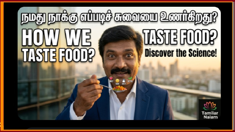 ​நமது நாக்கு எப்படிச் சுவையை உணர்கிறது? இதோ வியக்க வைக்கும் அறிவியல் ரகசியம்! சுவைகளின் சங்கமம்!