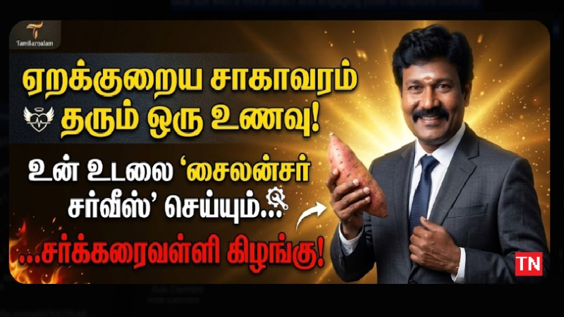 சாகாவரம் தரும் சர்க்கரைவள்ளி கிழங்கு! கேன்சரைத் தடுக்கும் ரகசியம் | தமிழர் நலம்