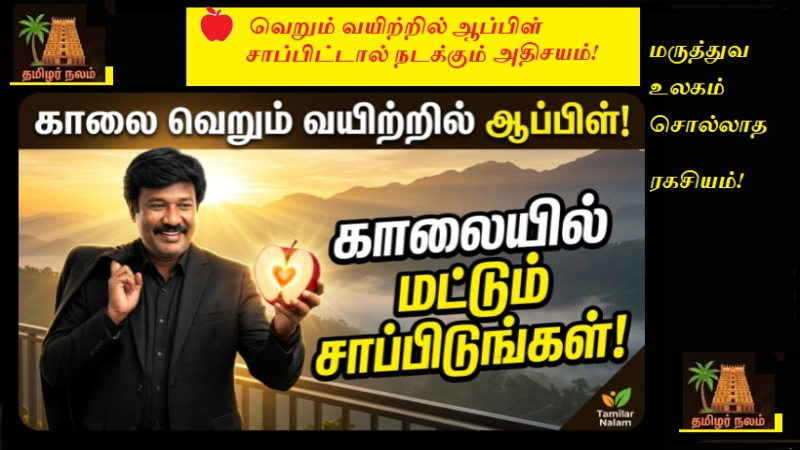 🍎 வெறும் வயிற்றில் ஆப்பிள் சாப்பிட்டால் நடக்கும் அதிசயம்! மருத்துவ உலகம் சொல்லாத ரகசியம்!