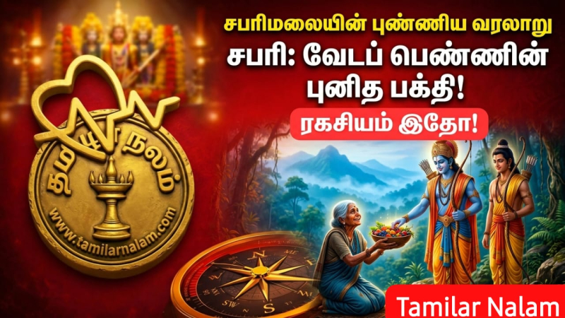 🕉️ சபரிமலையின் புண்ணிய வரலாறு: சபரியின் அன்பால் புனிதமான மலை! ஒரு வேடப் பெண் 'சபரி'யாக மாறிய ரகசியம் இதோ!