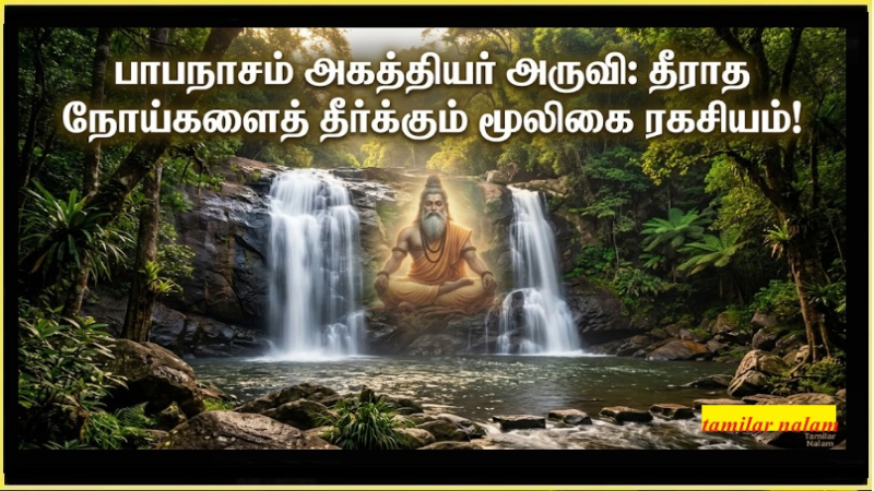 பாபநாசம் அகத்தியர் அருவி: தீராத நோய்களைத் தீர்க்கும் மூலிகை தீர்த்தத்தின் ரகசியங்கள்! | Papanasam Agasthiyar Falls: Medicinal Benefits and Spiritual Secrets
