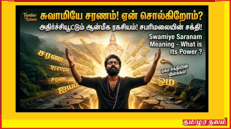 சபரிமலைக்கு ஏன் ‘சரணம்’ சொல்ல வேண்டும்? – அதன் சக்தி என்ன? (ஆன்மிக ரகசியம் முழு விளக்கம்)