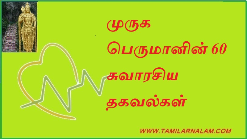 முருக பெருமானின் 60 சுவாரசிய தகவல்கள்