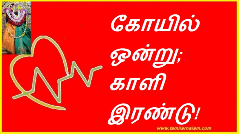 கோயில் ஒன்று; காளி இரண்டு!