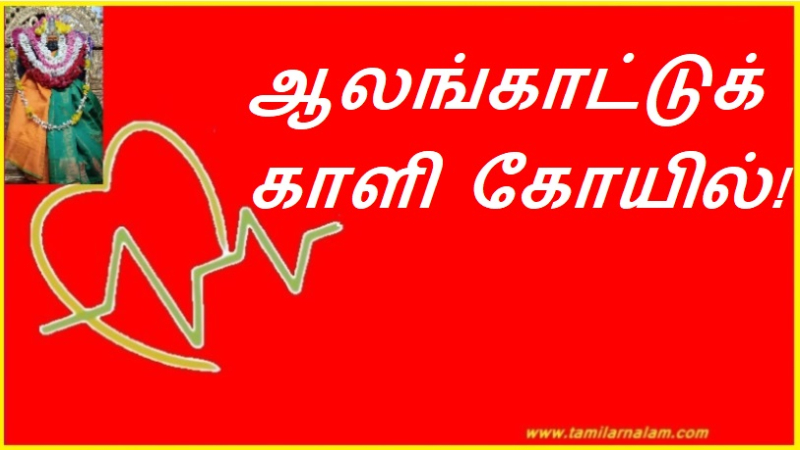 ஆலங்காட்டுக் காளி கோயில்! | Alangatuk Kali Temple!