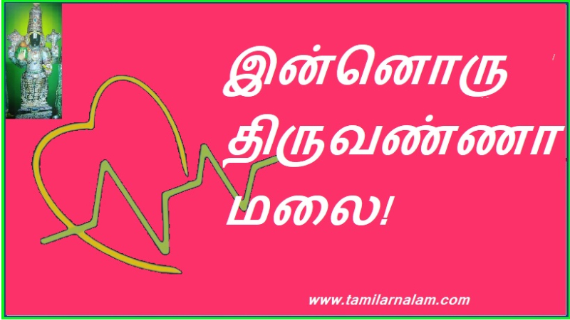 இன்னொரு திருவண்ணாமலை!