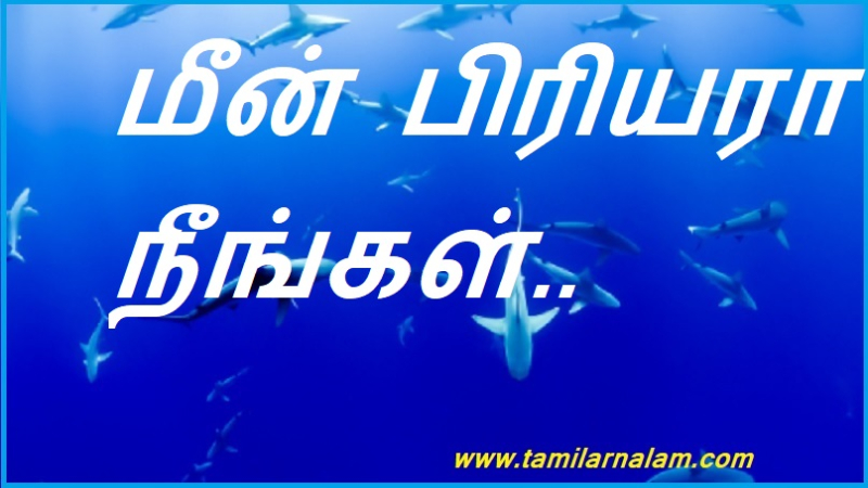 மீன் பிரியரா நீங்கள்.. | Are you a fish lover?