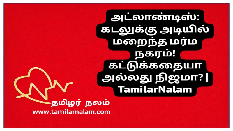 அட்லாண்டிஸ்: கடலுக்கு அடியில் மறைந்த மர்ம நகரம்! கட்டுக்கதையா அல்லது நிஜமா? | TamilarNalam