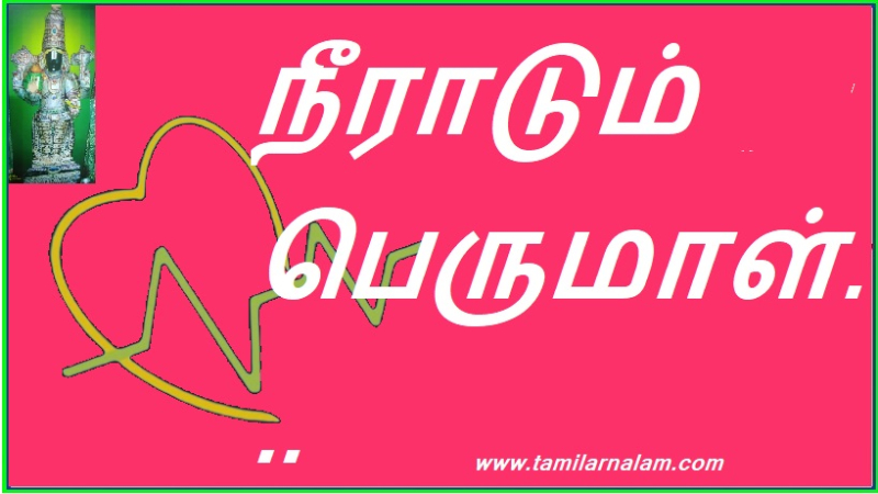 நீராடும் பெருமாள்...