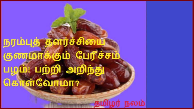 நரம்புத் தளர்ச்சியை குணமாக்கும் பேரீச்சம் பழம்! பற்றி அறிந்து கொள்வோமா