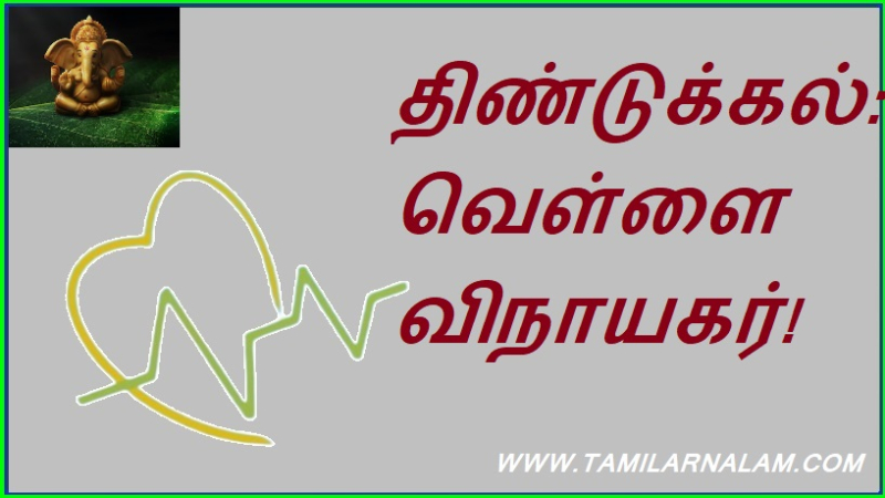 திண்டுக்கல்: வெள்ளை விநாயகர்!