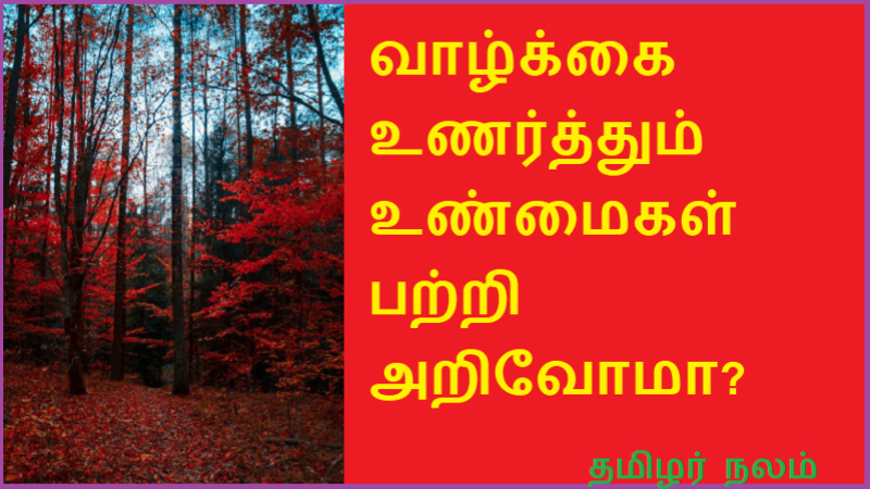 வாழ்க்கை உணர்த்தும் உண்மைகள் பற்றி அறிவோமா