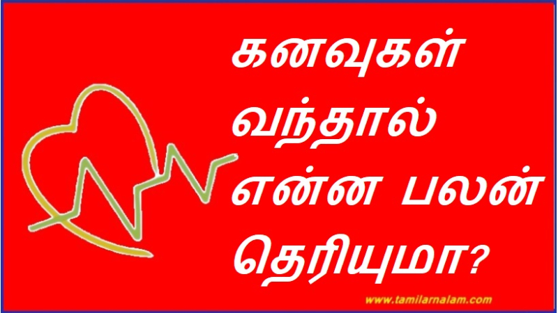 கனவுகள் வந்தால் என்ன பலன் தெரியுமா?