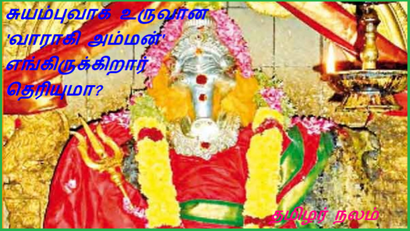 சுயம்புவாக உருவான 'வாராகி அம்மன்' எங்கிருக்கிறார் தெரியுமா | Do you know where is 'Varagi Amman' who has evolved as Swayambu?