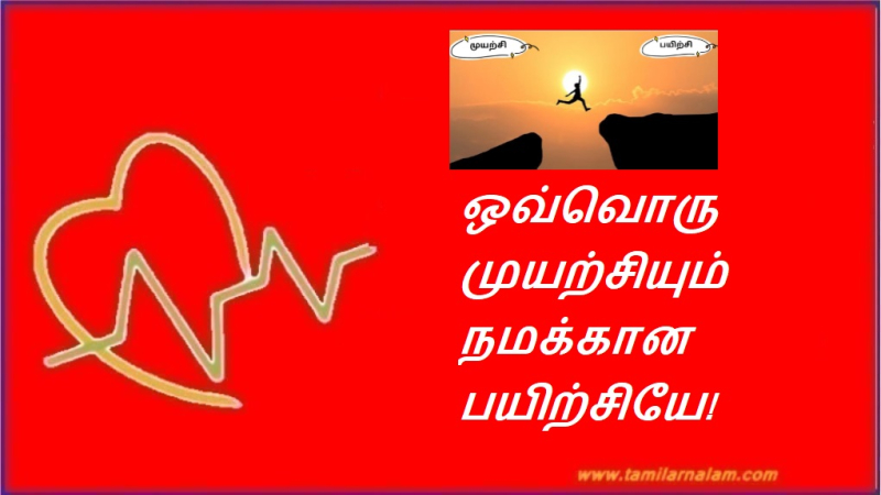 ஒவ்வொரு முயற்சியும் நமக்கான பயிற்சியே! | Every attempt is a training for us!
