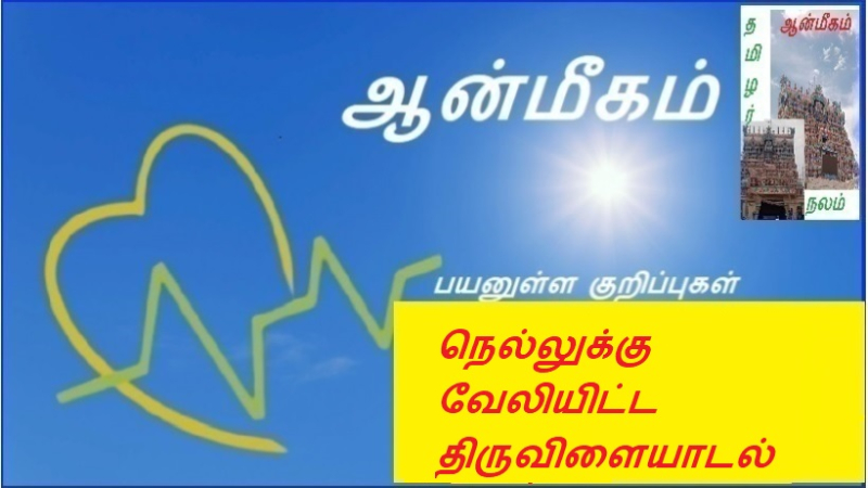 நெல்லுக்கு வேலியிட்ட திருவிளையாடல்