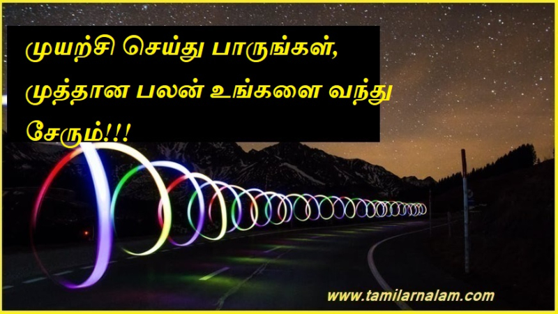 முயற்சி செய்து பாருங்கள் முத்தான பலன் உங்களை வந்து சேரும் | Give it a try and you will be blessed with abundant fruit