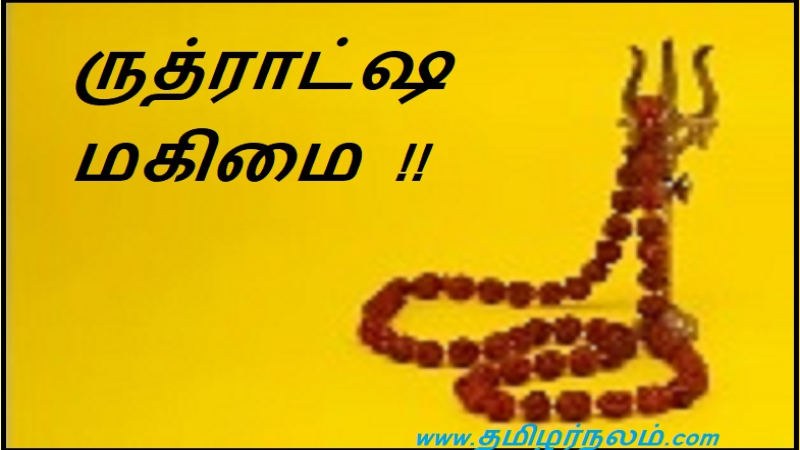 ருத்ராட்ஷ மகிமை !! | Glory to Rudratsha !!