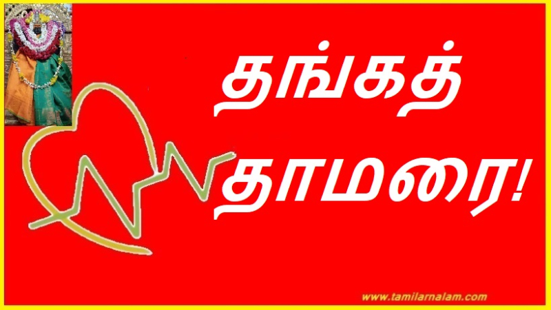 தங்கத் தாமரை!