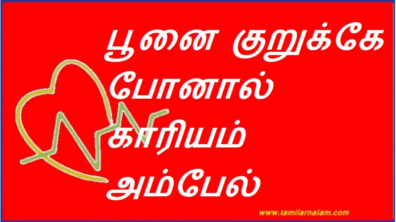 பூனை குறுக்கே போனால் காரியம் அம்பேல் தானா?