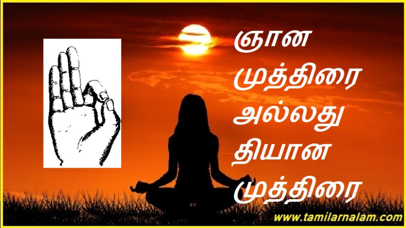 ஞான முத்திரை அல்லது தியான முத்திரை