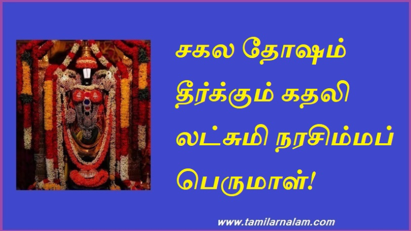 சகல தோஷம் தீர்க்கும் கதலி லட்சுமி நரசிம்மப் பெருமாள் | Kathali Lakshmi Narasimha Perumal, the remover of all doshas