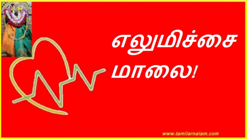 எலுமிச்சை மாலை!