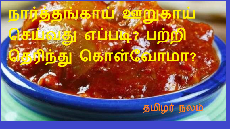 நார்த்தங்காய் ஊறுகாய் செய்வது எப்படி பற்றி தெரிந்து கொள்வோமா | Let's know how to make Narthankai Pickle